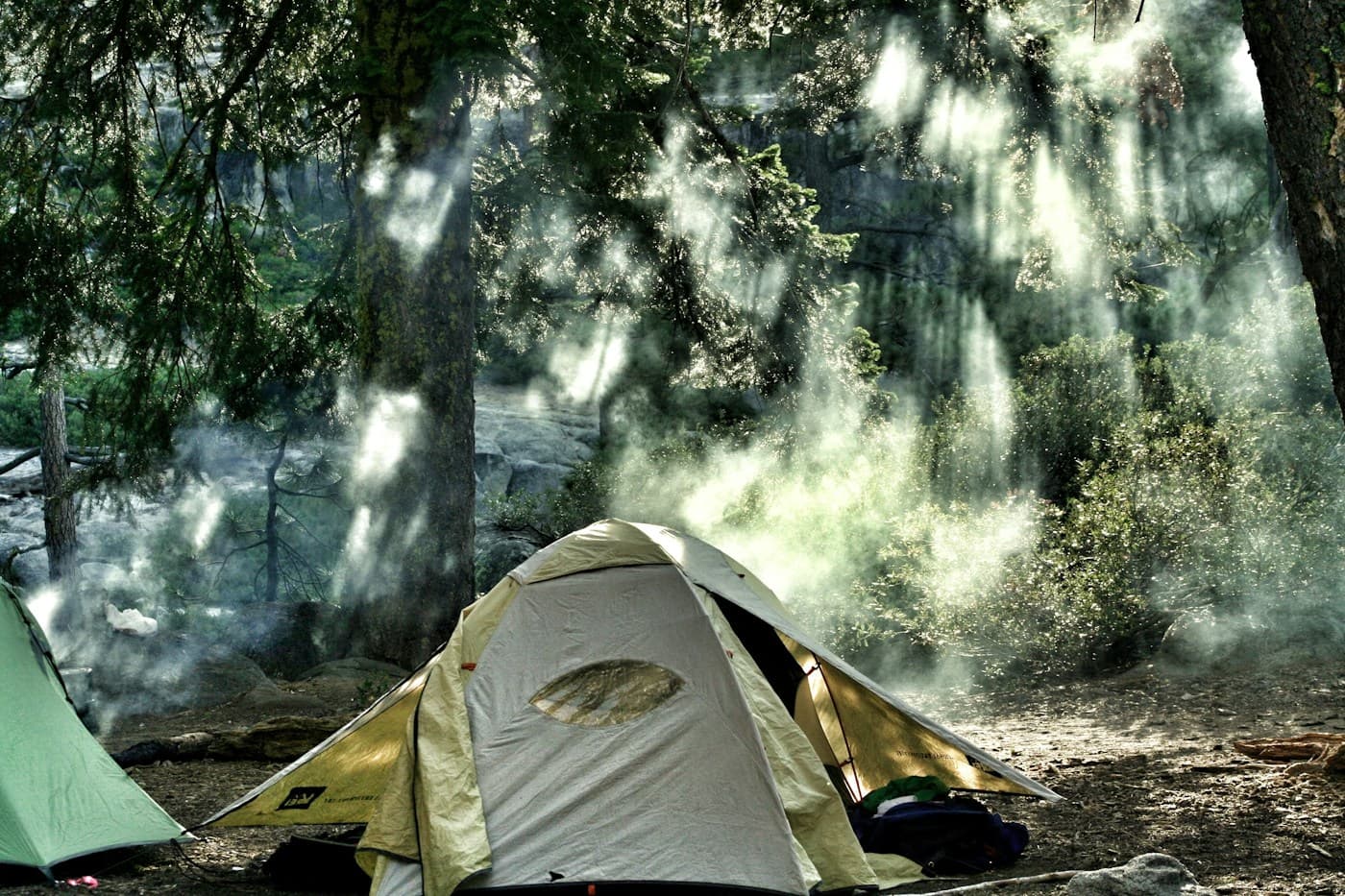 Morning light falling across a tent in a forest campsite